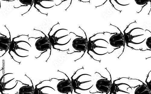 Seamless pattern with insects. Beetles rino