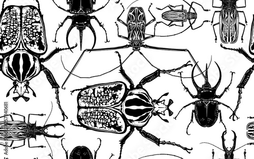 Seamless pattern with insects. Beetle rhino, harlequin, goliath and others