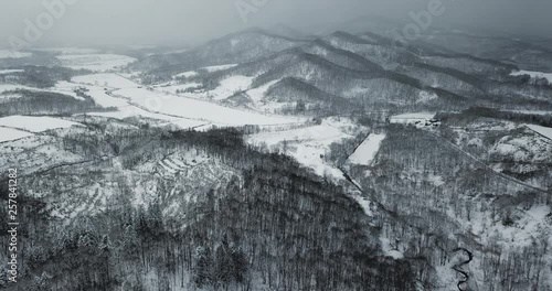 Aerial view of snow covered landscape with trees
