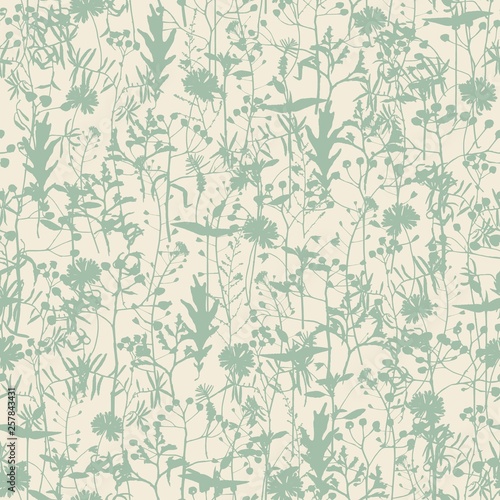 Set of field flowers, herbs. Element of seamless pattern. Paper design. Print element. Vector silhouettes collection.