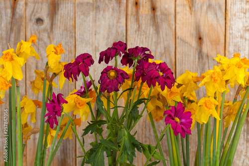 withered flowers of chrysanthemums and daffodils on a wooden background