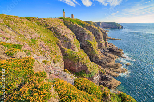 Obraz na płótnie Gorse and heather on the cliffs of Cap Frehel with lighthouse in the backgroun