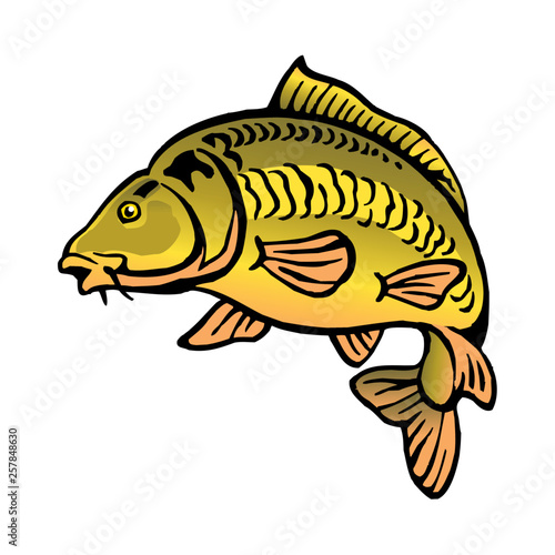 carp fish bald without scales color clipart
