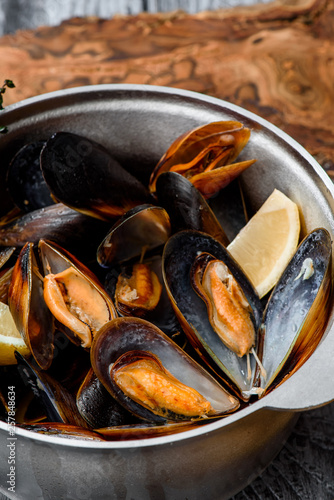 Mussel shells in a gray cauldron in tomato sauce, french fries and croutons on a gray background. Close up. Space