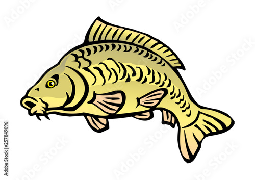 carp fish bald without scales color icon