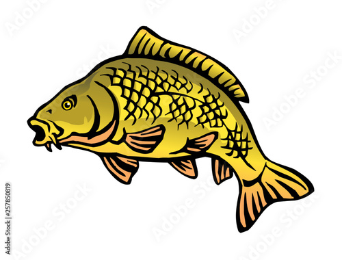 carp fish with fish scales big fish color icon