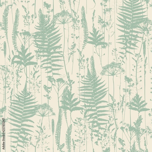 Set of field flowers, herbs. Element of seamless pattern. Paper design. Print element. Vector silhouettes collection.