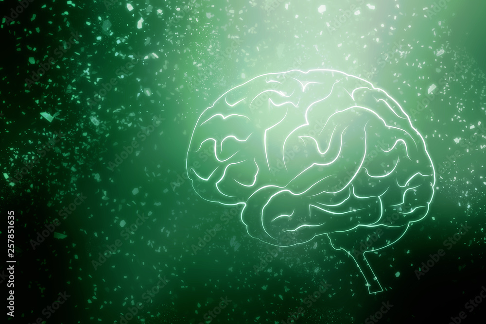 Human brain 2d illustration Human brain 2d illustration