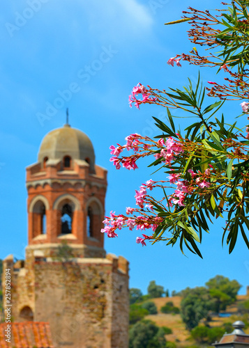 Summer pink flower with blurred background with old street with church and castle in historical small town of Castiglione Della Pescaia in Tuscany, Grosseto Italy