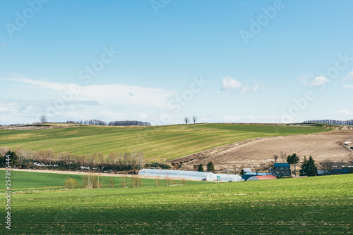Hokkaido, japan