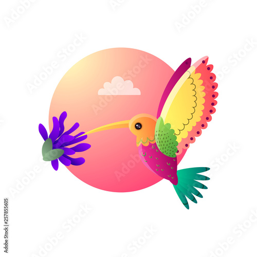 Colorful small bird hummingbird in cartoon style on pink sky background