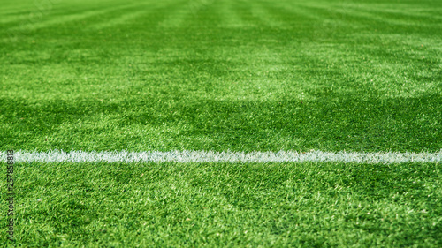 artificial grass at the soccer stadium