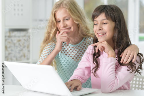 Portrait of two smiling teenage girls pointing at modern laptop