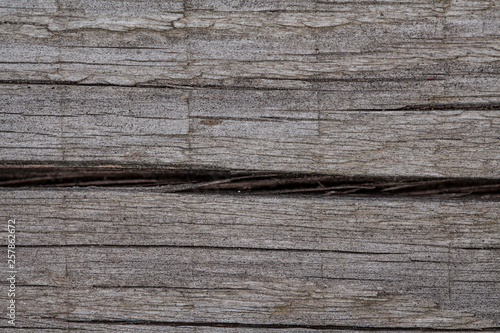 natural piece of wood, background, close up on cracked part 