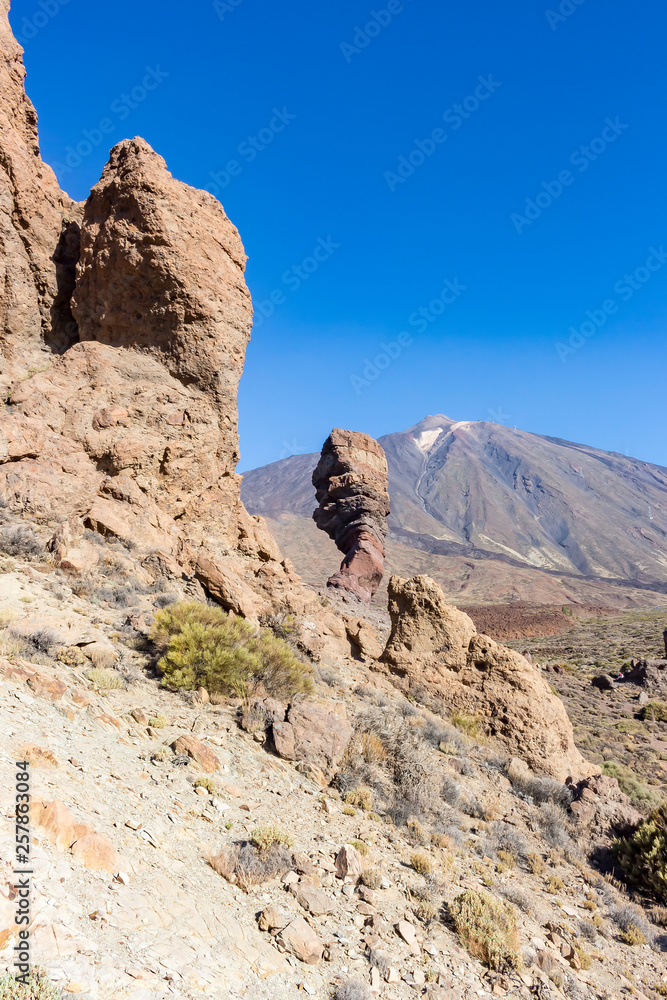 Rock formations in the foreground and the volcano El Teide in the background on the island of Tenerife, Spain (portrait)