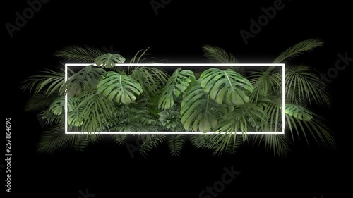 Tropical plant with neon light on an alpha channel