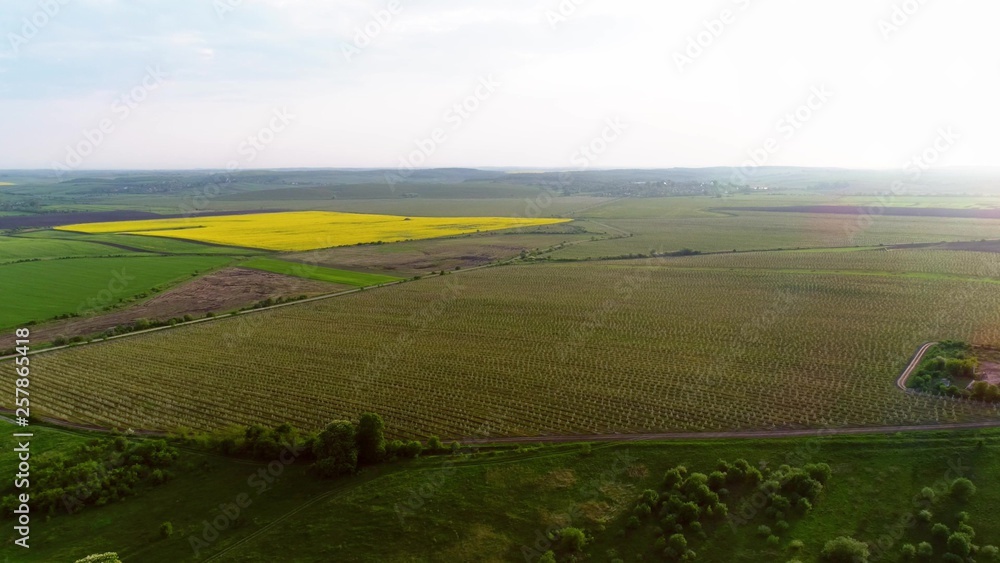 Aerial View Of Agricultural Land In Europe With Orchards And Fields.