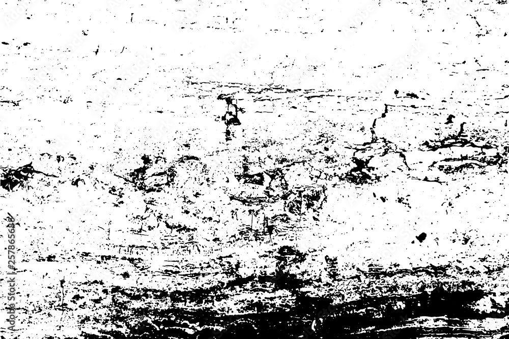 Obraz premium Vector wood texture, abstract background. The bark of an old tree.