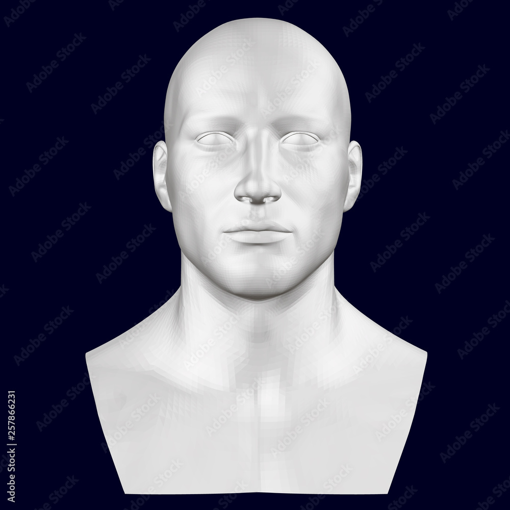 Bust of a man. Front view. 3D