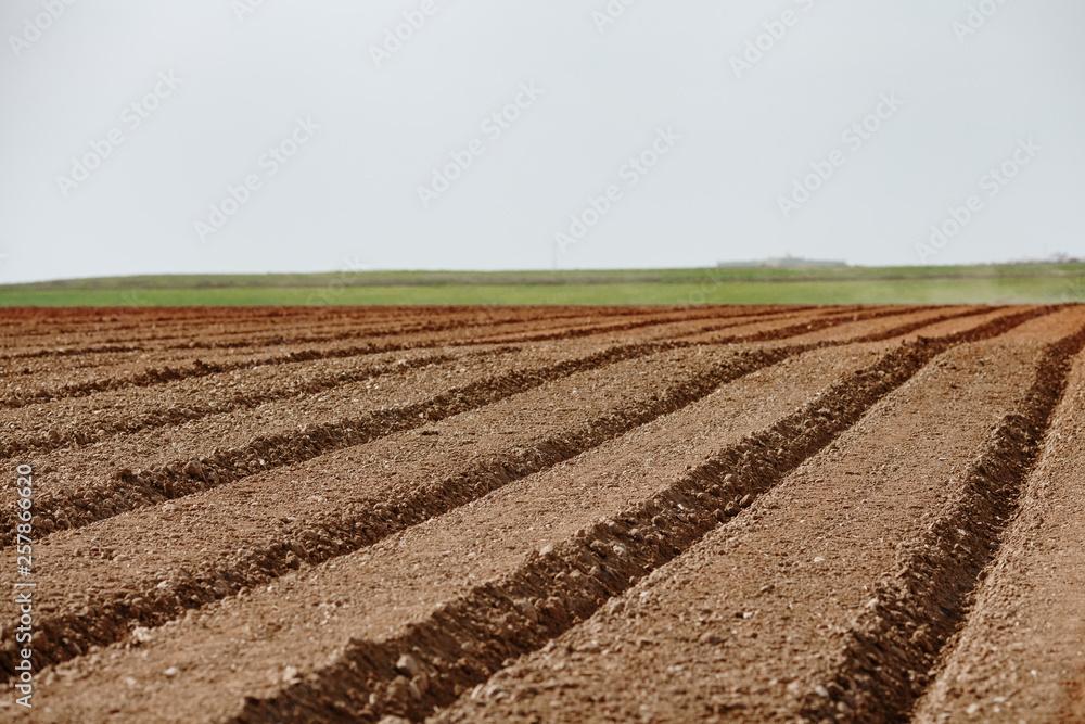 Plowed Field