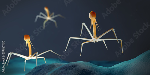 Bacteriophage or phage virus attacking and infecting a bacteria - 3d illustration photo