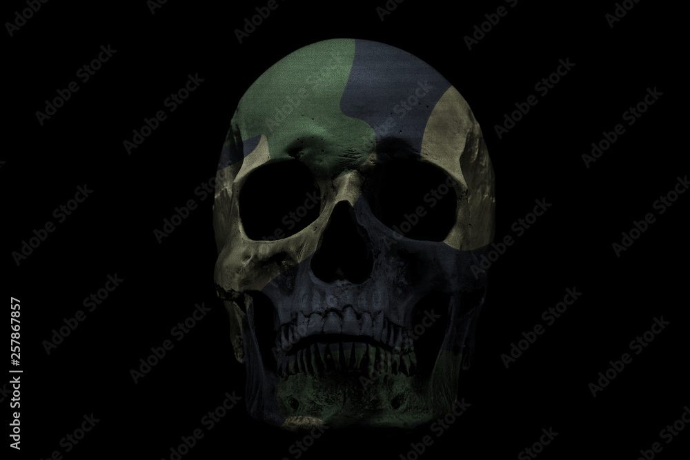 Camouflage color skull on isolated black background. Camouflage color skull on isolated black background.