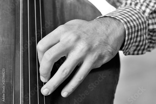 Cello playing cellist hand close up orchestra instruments Black and white image © biggur