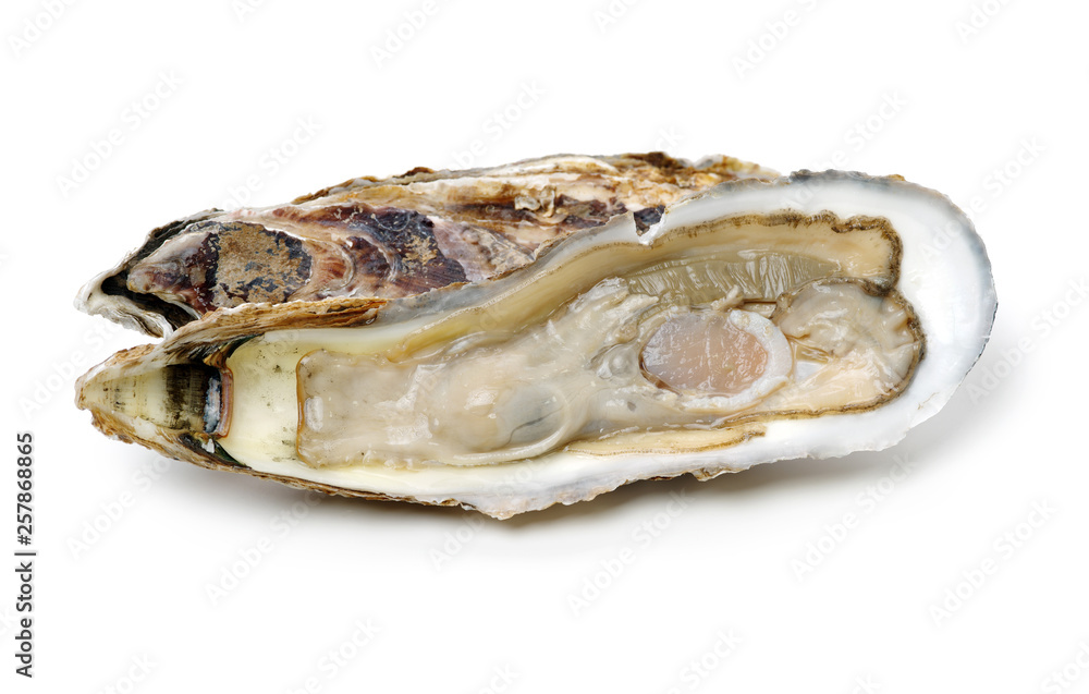 Fresh opened oyster on white background Fresh opened oyster on white background