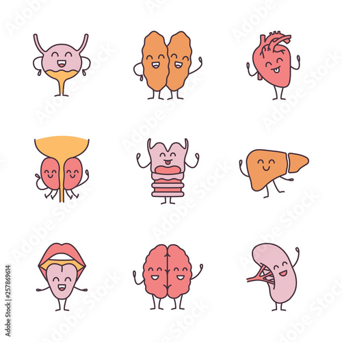 Smiling human internal organs characters color icons set