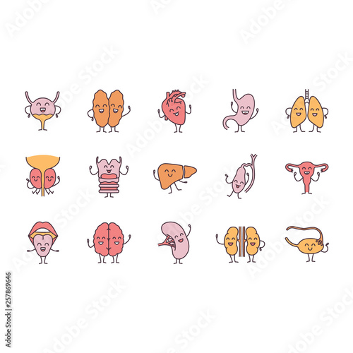 Smiling human internal organs characters color icons set