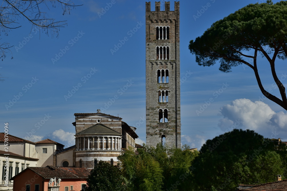 Fototapeta premium Duomo di s. Martino, Lucca, Toscana, Italia