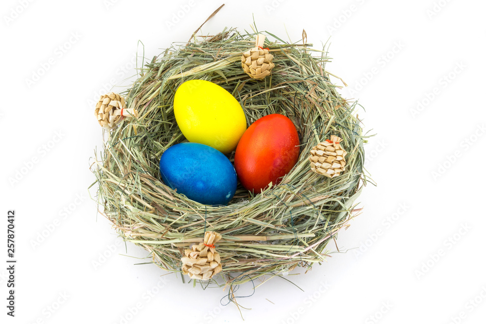 colored easter eggs in grass nest with bumps colored easter eggs in grass nest with bumps