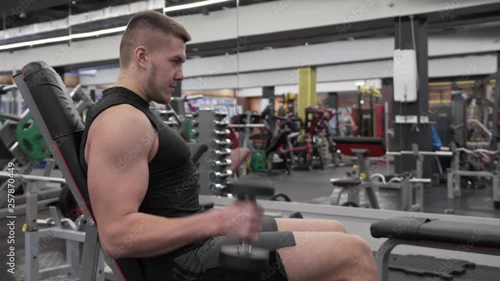 Male Athlete Training Biceps Muscles With Dumbbells. Male Athlete Training Biceps Muscles With Dumbbells.