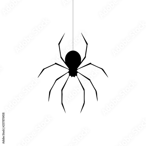 Spider vector isolated