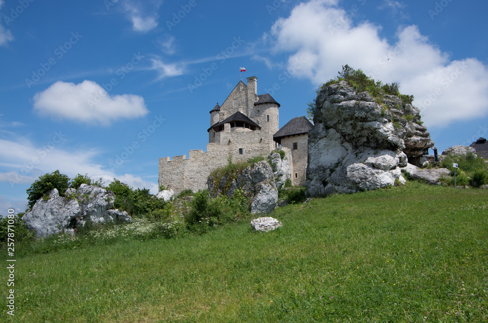 Panorama of the medieval castle in Bobolice in Poland