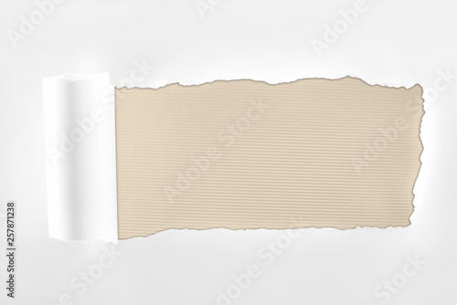 tattered textured white paper with rolled edge on ivory background