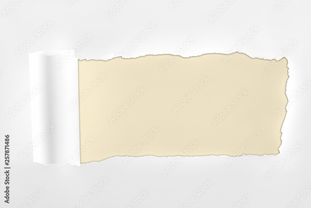 ragged textured white paper with rolled edge on ivory background