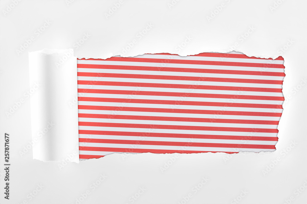 ragged textured white paper with rolled edge on red striped background ragged textured white paper with rolled edge on red striped background