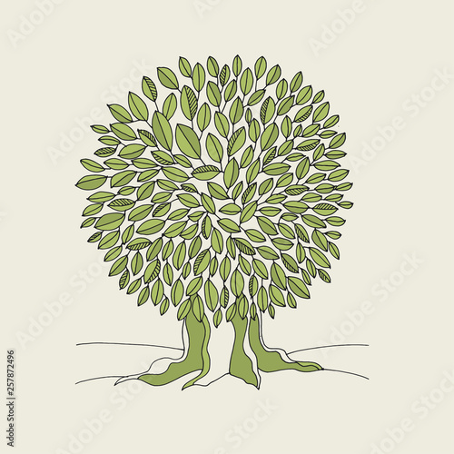Green oak tree hand drawn v...