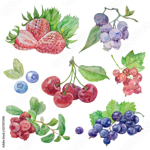 Berries watercolor set illustration isolated on white background. 