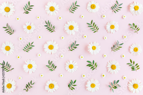 Fotografía Pattern made of chamomiles, petals, leaves on pink background