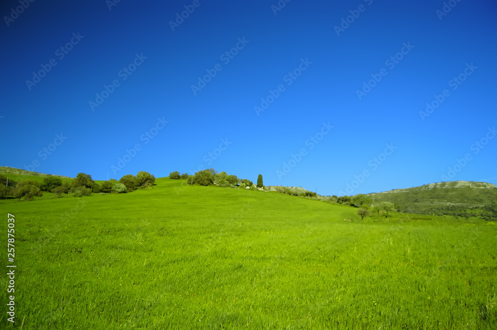 green field and blue sky