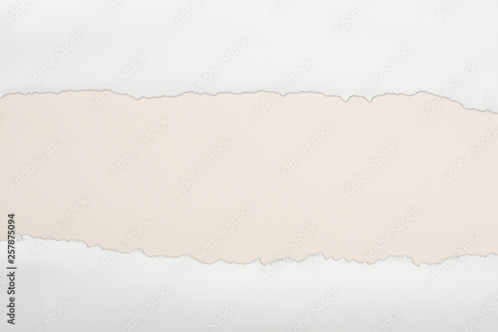 Naklejka premium ripped white textured paper with copy space on ivory background
