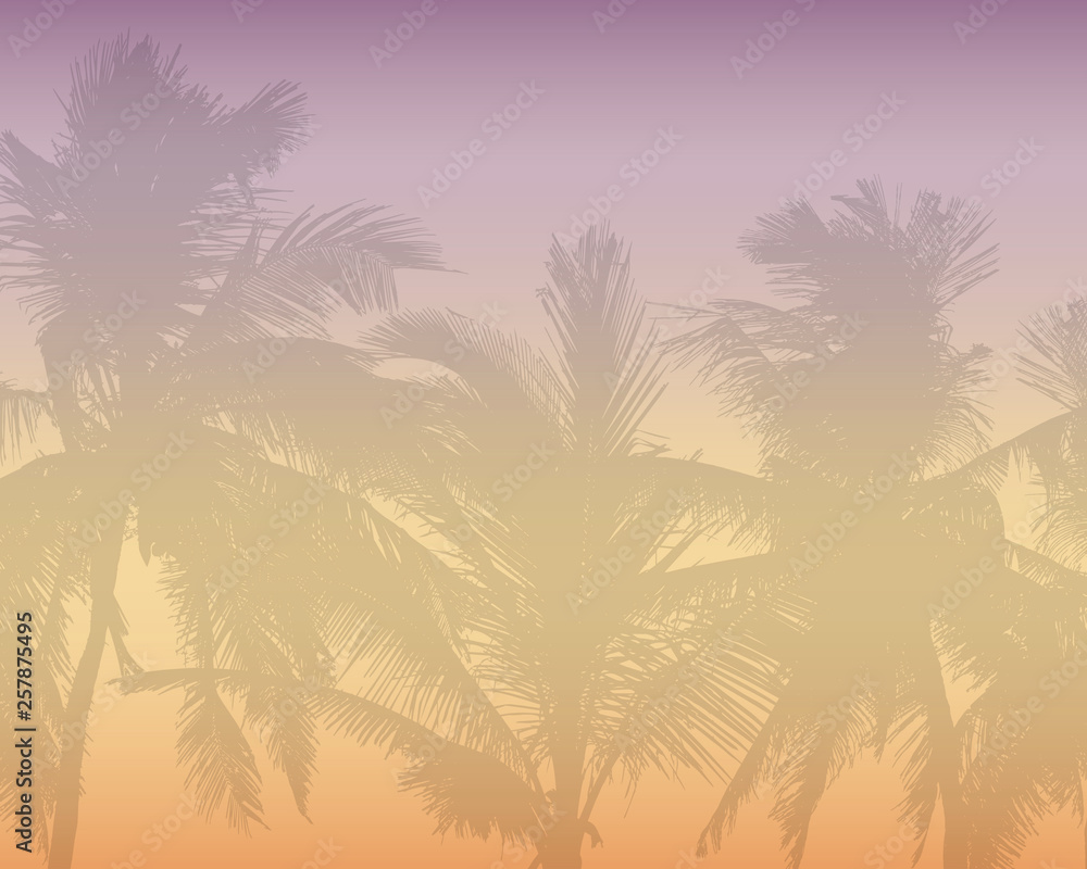 Pattern or background with realistic silhouette of tree tops, tropical palm trees, with morning orange-pink sky and with space for text, vector