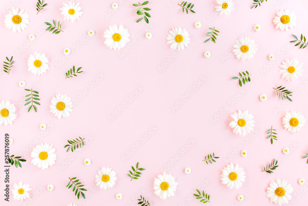 Frame made of chamomiles, petals, leaves on pink background. Flat lay, top view Frame made of chamomiles, petals, leaves on pink background. Flat lay, top view