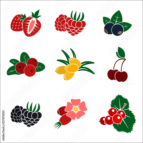 Set of color stylized berries icons. Flat vector objects.