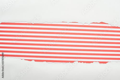 ragged white textured paper with copy space on red striped background