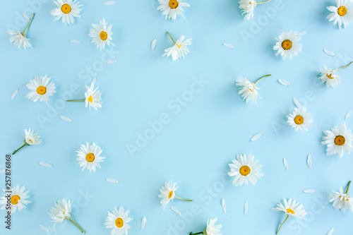 Frame made of chamomiles  petals  leaves on blue background. Flat lay  top view