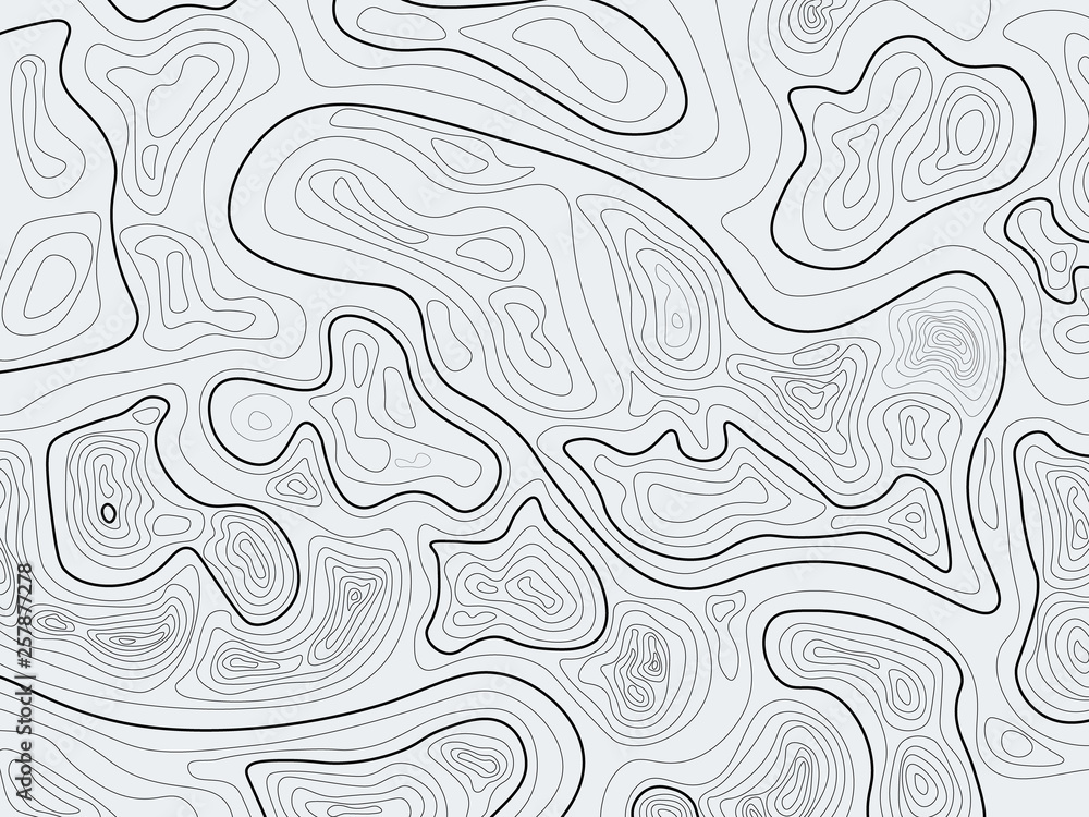 Topographic map. Vector geographical concept with the lines of the terrain. Background.