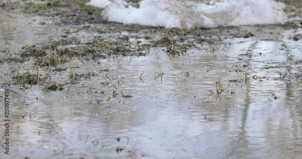 Melting snow and ice Melting snow and ice